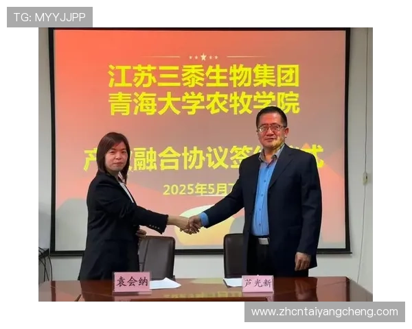 澳门太阳0638：详细解读澳门太阳集团股票代码的市场表现与未来趋势